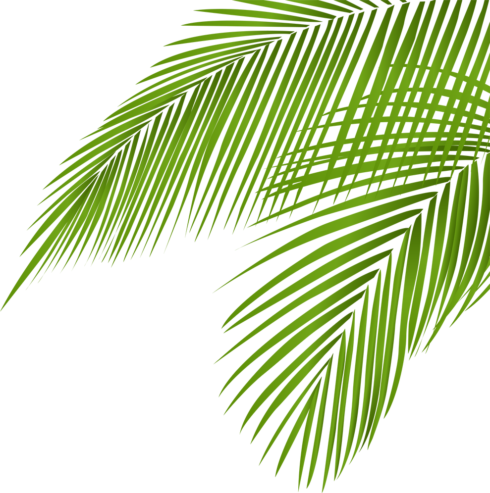 Summer coconut palm tree leaf coner decoration